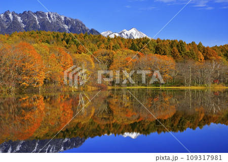 戸隠山と小鳥ヶ池 109317981