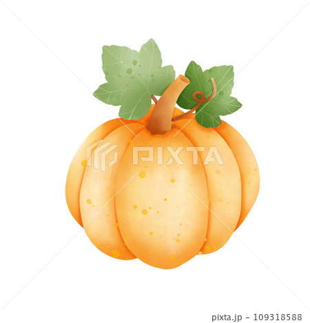 ripe pumpkin with green leaves 109318588