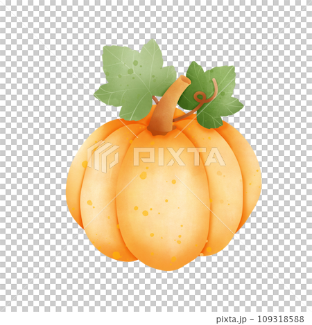 ripe pumpkin with green leaves 109318588