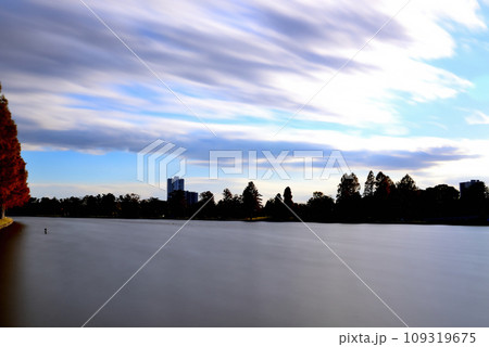 晩秋の水元公園の風景 長時間撮影 晩秋の水元公園の風景 長時間撮影 109319675