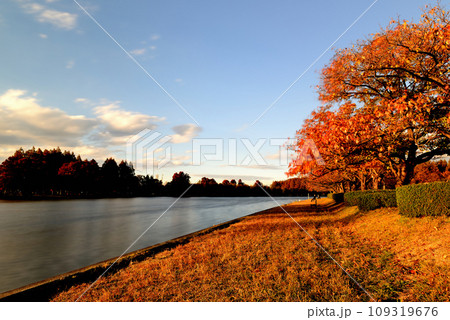 晩秋の水元公園の風景 長時間撮影 晩秋の水元公園の風景 長時間撮影 109319676