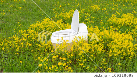 dry closet among green grass and yellow flowers dry closet among green grass and yellow flowers 109319698