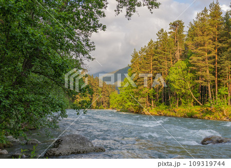 view of the mountain river Arkhyz view of the mountain river Arkhyz 109319744