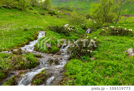 picturesque mountain stream picturesque mountain stream 109319773