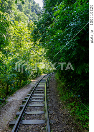 narrow gauge railway 109319829