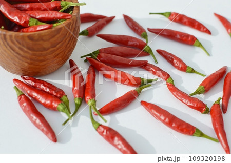 真っ赤なトウガラシ 　　　　　 109320198