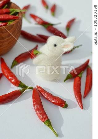 真っ赤なトウガラシとフェルトの白ウサギ 　　　 109320199