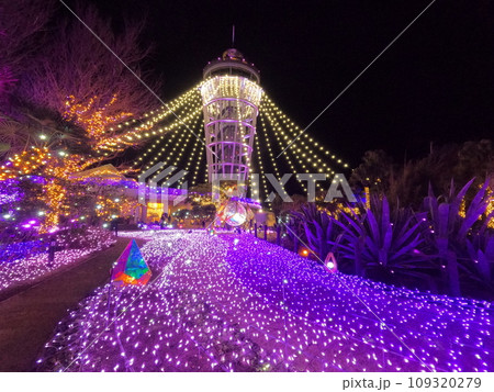 江ノ島シーキャンドル 江ノ島シーキャンドル 109320279