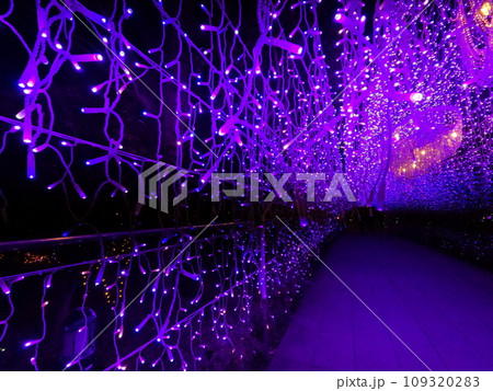 江ノ島シーキャンドル 江ノ島シーキャンドル 109320283