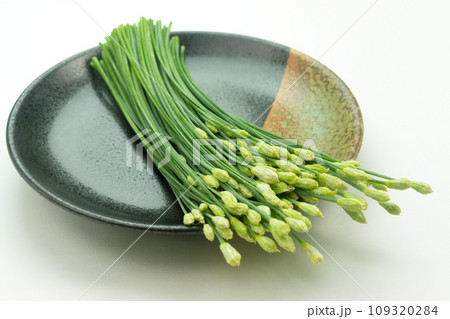 新鮮な花にら 109320284