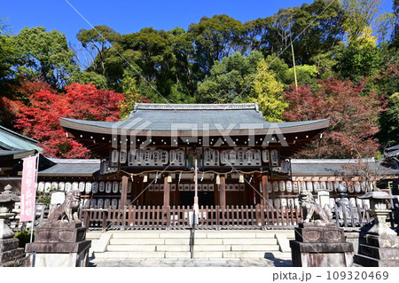 京都市 哲学の道そばの熊野若王子神社 109320469