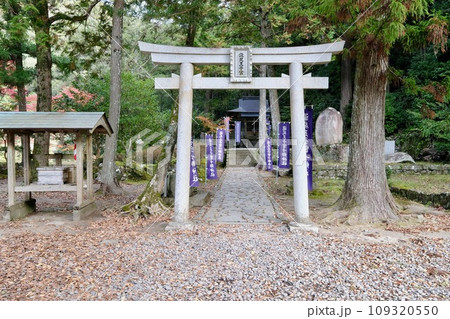 【和歌山】熊野古道（中辺路） 109320550