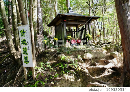 【和歌山】熊野古道（中辺路） 109320554