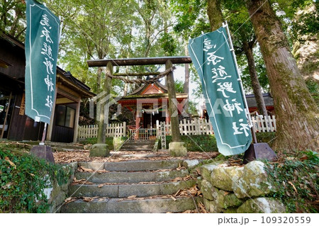 【和歌山】熊野古道（中辺路） 109320559
