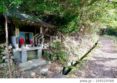 【和歌山】熊野古道(中辺路) 【和歌山】熊野古道(中辺路) 109320566
