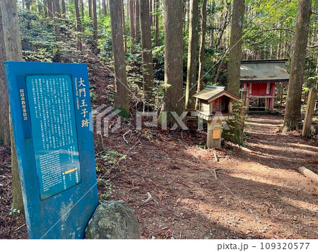 【和歌山】熊野古道(中辺路) 【和歌山】熊野古道(中辺路) 109320577