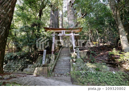 【和歌山】熊野古道（中辺路） 109320802