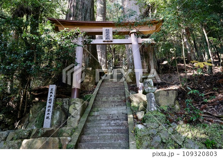 【和歌山】熊野古道（中辺路） 109320803