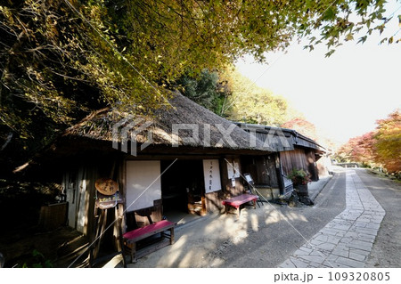 【和歌山】熊野古道（中辺路） 109320805