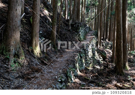 【和歌山】熊野古道（中辺路） 109320818