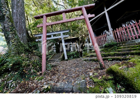 【和歌山】熊野古道（中辺路） 109320819