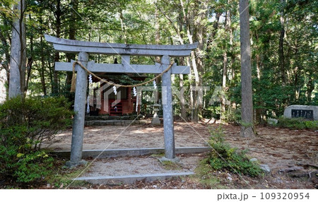【和歌山】熊野古道(中辺路) 【和歌山】熊野古道(中辺路) 109320954