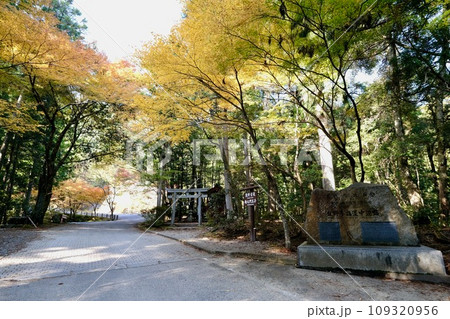 【和歌山】熊野古道（中辺路） 109320956
