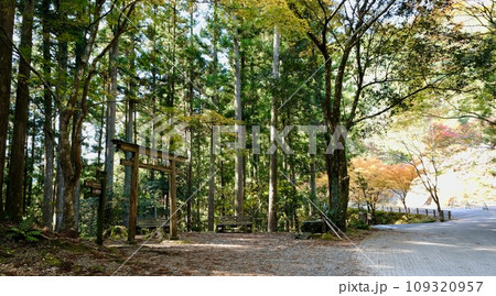 【和歌山】熊野古道（中辺路） 109320957