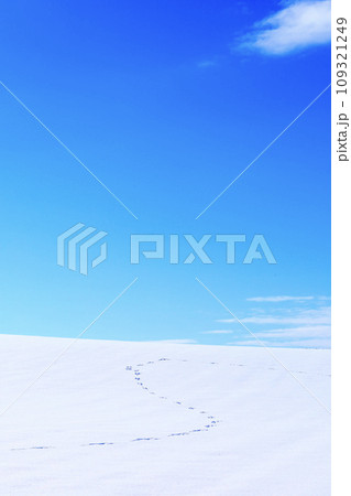 動物の足跡が残る雪原が広がる冬の北海道と青空の風景 109321249