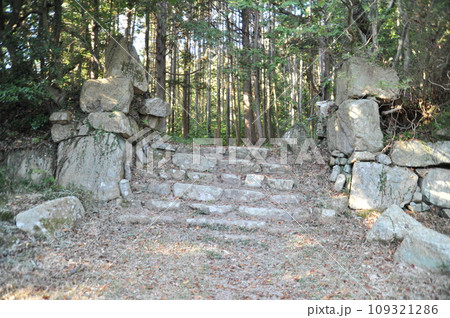 観音寺城跡 109321286