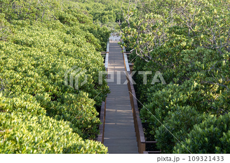 漫湖水鳥・湿地センターの木道 109321433