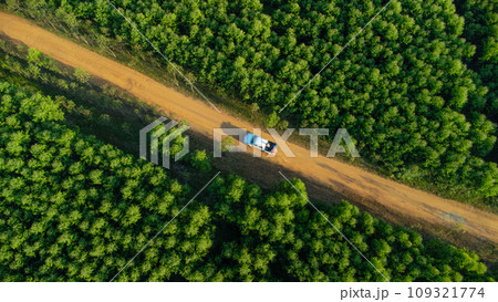 Aerial view of eucalyptus plantation in Thailand. Top view of cultivation areas or agricultural land in outdoor nursery. Cultivation business. Natural landscape background. Aerial view of eucalyptus plantation in Thailand. Top view of cultivation areas or agricultural land in outdoor nursery. Cultivation business. Natural landscape background. 109321774