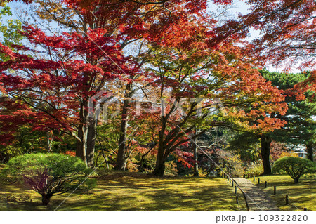 東京都　殿ヶ谷戸庭園（とのがやとていえん）の紅葉　都立庭園 109322820