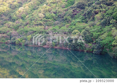 兵庫県南あわじ市 諭鶴羽ダムのダム湖に反射した木々 兵庫県南あわじ市 諭鶴羽ダムのダム湖に反射した木々 109323000