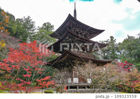 湖東三山　西明寺　秋 109323559