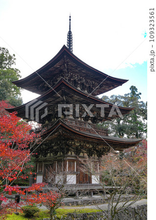 湖東三山 西明寺 秋 湖東三山 西明寺 秋 109323561