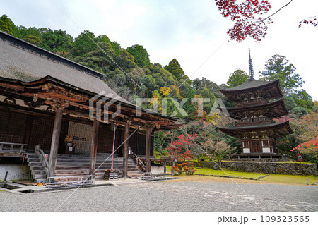 湖東三山　西明寺　秋 109323565