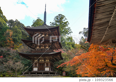 湖東三山 西明寺 秋 湖東三山 西明寺 秋 109323566