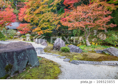 南禅寺の方丈庭園（京都） 109323855
