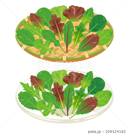 皿とザルに盛られたベビーリーフセット 皿とザルに盛られたベビーリーフセット 109324182