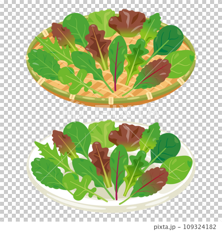 皿とザルに盛られたベビーリーフセット 皿とザルに盛られたベビーリーフセット 109324182