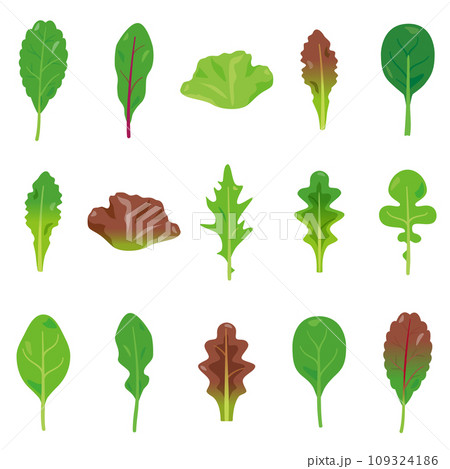 ベビーリーフセット ベビーリーフセット 109324186