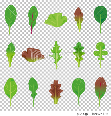 ベビーリーフセット ベビーリーフセット 109324186