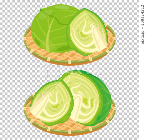 ザルに盛られたキャベツセット 109324212