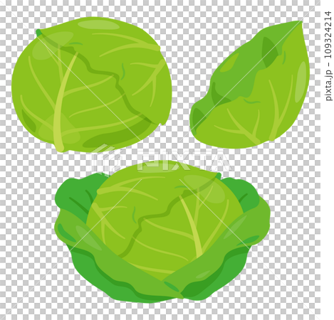 高麗菜套餐 109324214