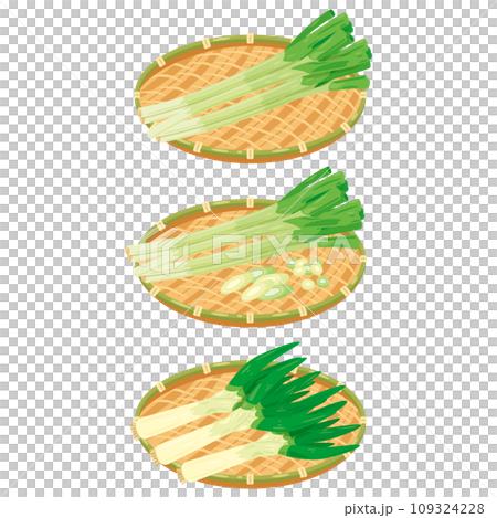 A set of green onions in a colander 109324228