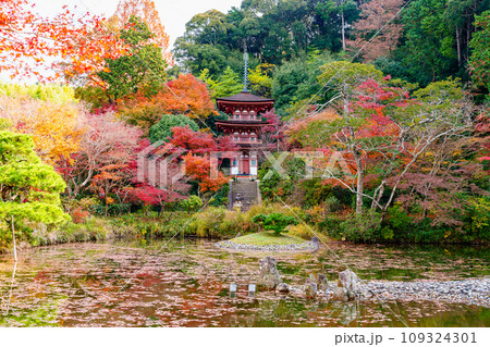 【京都府】木津川市 浄瑠璃寺 (2023/11/29 撮影) 【京都府】木津川市 浄瑠璃寺 (2023/11/29 撮影) 109324301