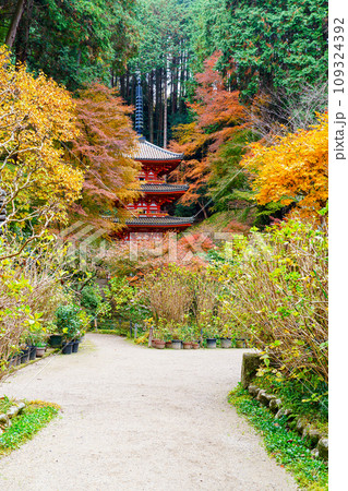 【京都府】木津川市 岩船寺 (2023/11/29 撮影) 【京都府】木津川市 岩船寺 (2023/11/29 撮影) 109324392