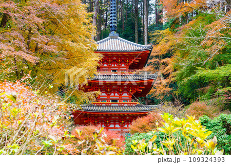 【京都府】木津川市 岩船寺 (2023/11/29 撮影) 【京都府】木津川市 岩船寺 (2023/11/29 撮影) 109324393