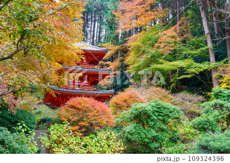 【京都府】木津川市 岩船寺 (2023/11/29 撮影) 【京都府】木津川市 岩船寺 (2023/11/29 撮影) 109324396
